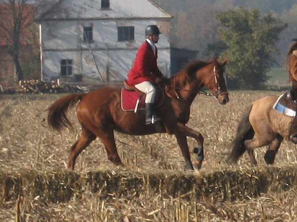 Osetja i Karol