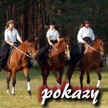 pokazy